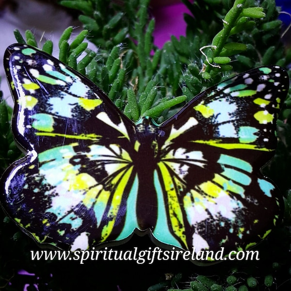 Butterfly Magnet - aimants de réfrigérateur de style vintage, papillons brillants en porcelaine solide, décoration de maison de chambre boho Nouveau appartement pendaison de crémaillère