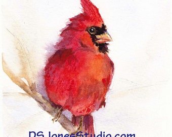 Watercolor of Red Cardinal - Original and prints available - you choose!