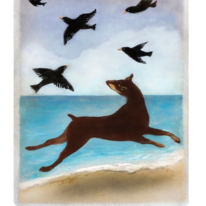 Doberman on the Beach with Birds, Doberman, Dobie on beach, love Dobermans, dog and birds, blackbirds, Doberman playing, beach dog, sea bird