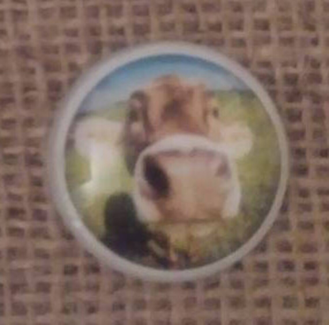 Farmhouse Magnet Set Cow Magnets Kitchen Magnets | Etsy