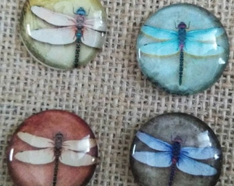 Dragonflies - Dragonfly Magnets - Dragonfly Decor - Refrigerator Magnets - Glass Magnets - Locker Magnets - Birthday Gift - FREE SHIPPING