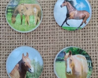 Horse Magnets - Country Magnets -Farm Magnets - Birthday Gift - FREE SHIPPING