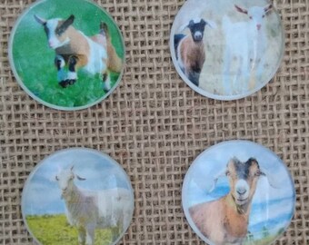 Goat Magnets - Billy Goat Magnets - Farm Animal Magnets - Country Decor - Gift Idea - FREE SHIPPING