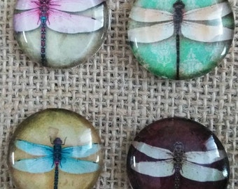 Dragonfly - Dragonfly Magnets - Dragonflies - Locker Magnets - Refigerator Magnets - Dragonfly Decor - Birthday Gift - FREE SHIPPING