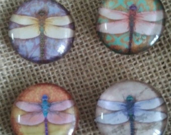 Dragonfly Magnets - Refrigerator Magnets - Glass Magnets - Dragonfly Decor - FREE SHIPPING
