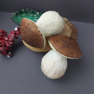 Steinpilze Boletus edulis Weihnachtsbaum Dekoration Spuncotton Ornamente Wohnkultur Hängepilz Rustikale Geschenkidee