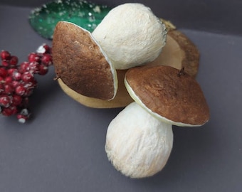 Porcini mushrooms Boletus edulis Christmas tree decoration Spuncotton ornaments Home decor Hanging  fungus Rustic gift idea