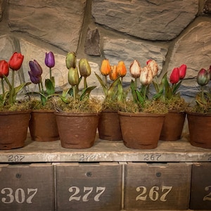 Primitive Tulip Pots