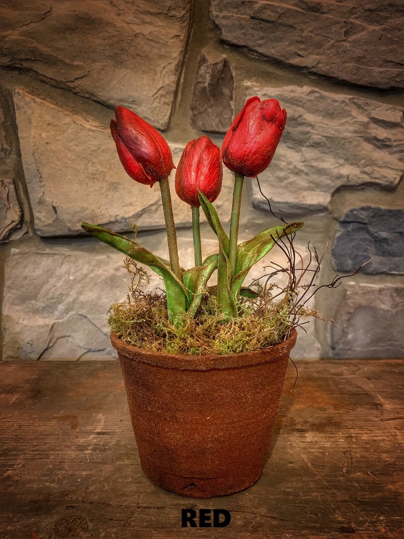 Macetas de tulipanes primitivas imagen 5