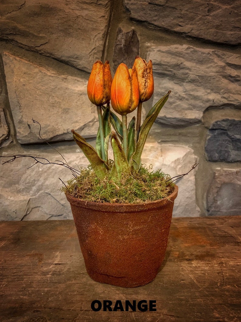 Macetas de tulipanes primitivas imagen 2