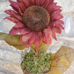 May include: A burgundy faux sunflower with brown center in a terracotta pot with green moss.