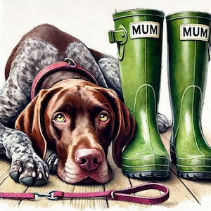 May include: A brown and white spotted dog with a pink collar is lying down on a wooden floor. Two green rain boots with the word "MUM" on them are next to the dog. A pink leash is on the floor.