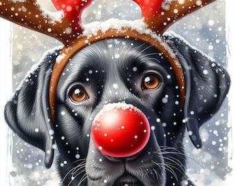 Puede incluir: Un Labrador Retriever negro con una diadema de cuernos de reno y una nariz roja, con copos de nieve cayendo a su alrededor. El perro tiene ojos marrones y un tema festivo navideño.