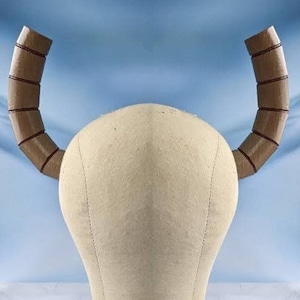 3D Printed Horns for Luoca