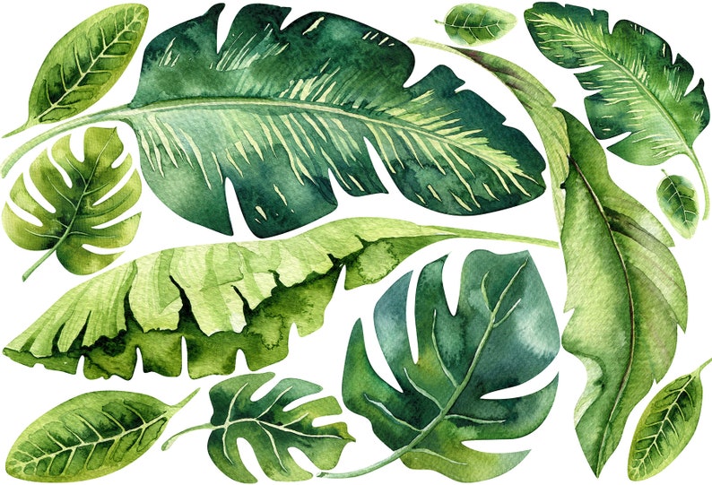Jungle Leaf Wall Decal Nursery Bathroom Tropical Leaf Wall Etsy