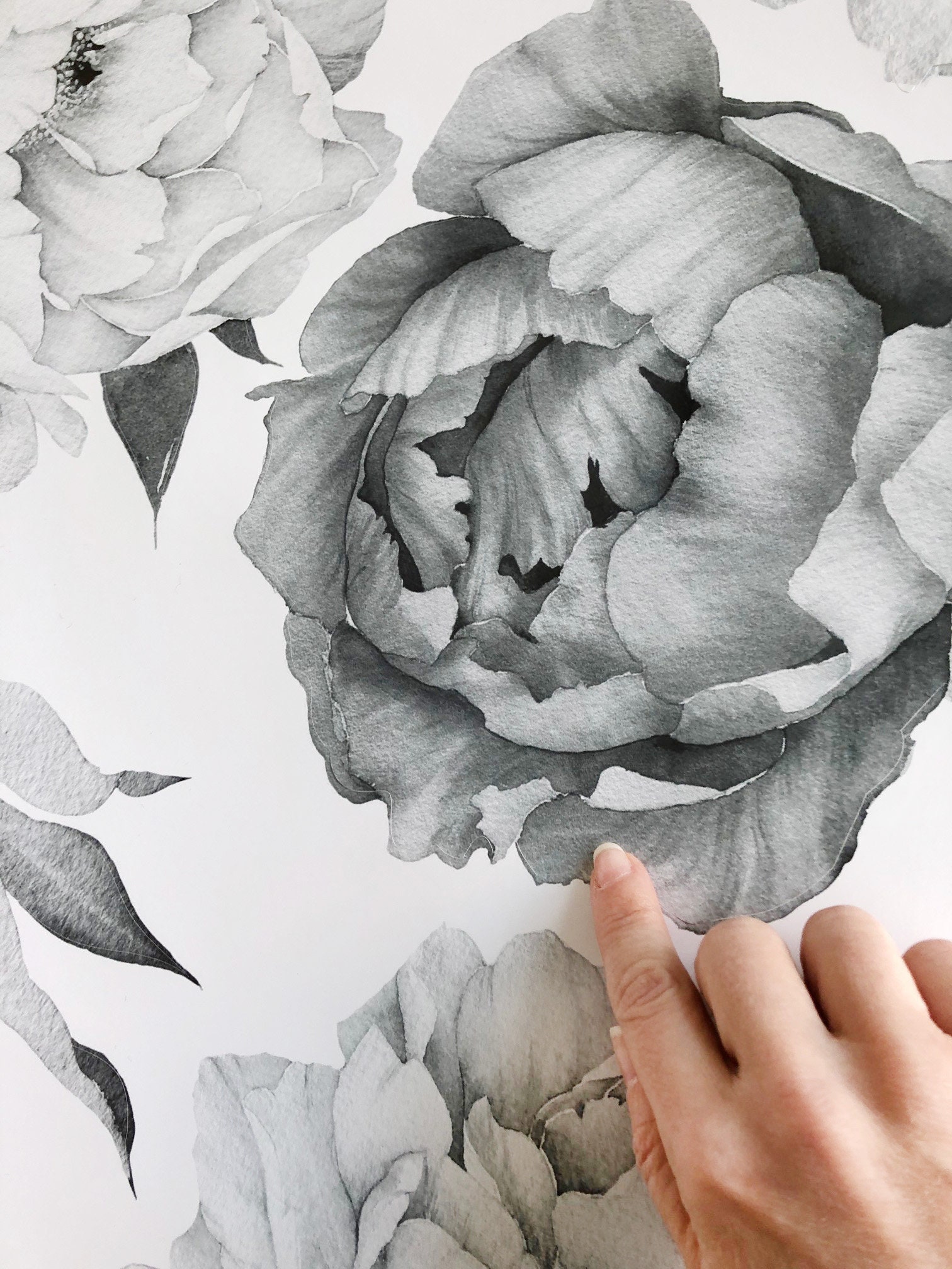Peony Wall Mural Black and White Wall Murals Peel and Stick Etsy