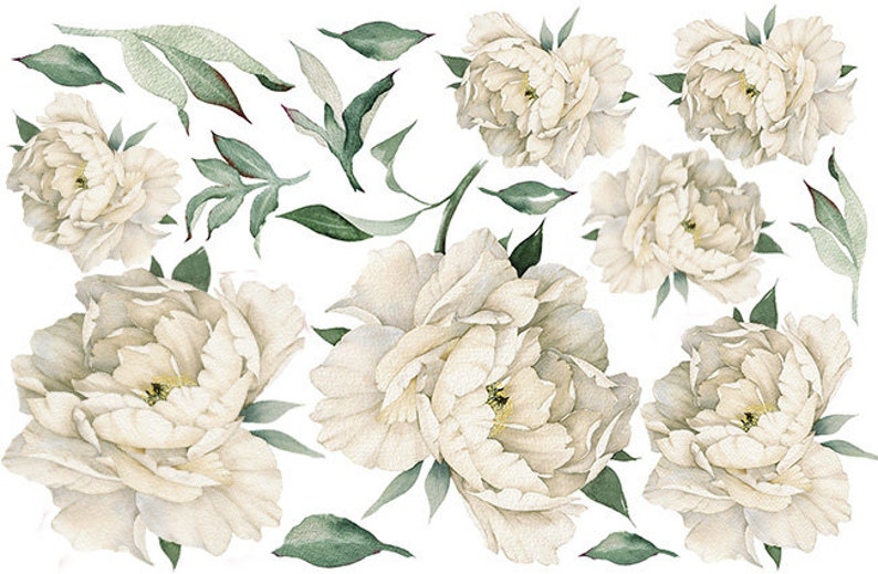 White Peony Wall Decal Large Set Peonies Wall Decals Peony Etsy