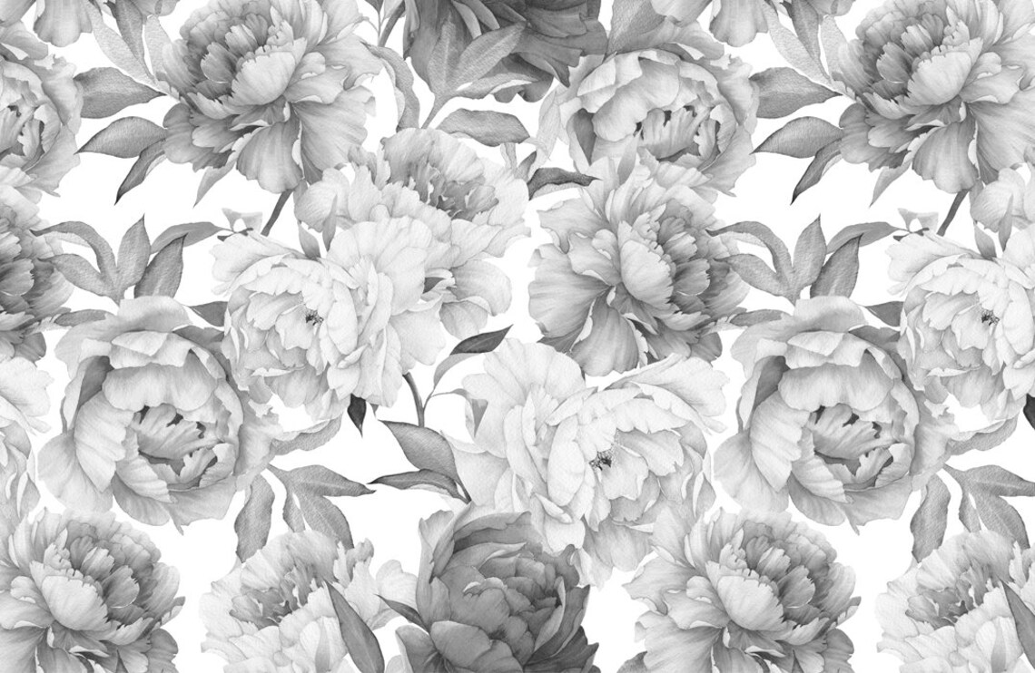 Peony Wall Mural Black and White Wall Murals Peel and Stick Etsy