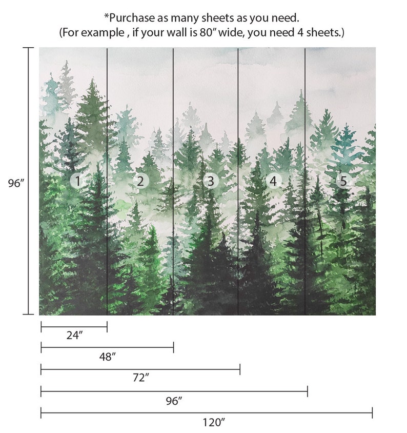 Pu&ograve; includere: Un dipinto ad acquerello di una scena di foresta nebbiosa con alberi verdi. L'immagine &egrave; divisa in cinque sezioni, ciascuna larga 61 cm e alta 244 cm. Il testo "*Acquista quanti fogli ti servono. (Ad esempio, se il tuo muro &egrave; largo 203 cm, hai bisogno di 4 fogli.)" &egrave; in cima all'immagine.