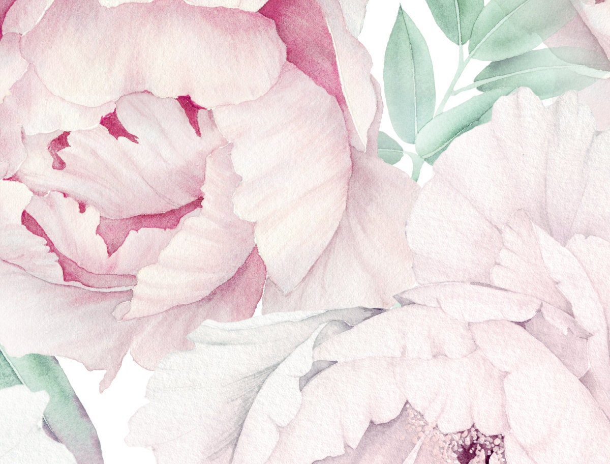 Pink Peony Wall Mural, Floral Wall Murals Peel and Stick, Peonies Wall ...