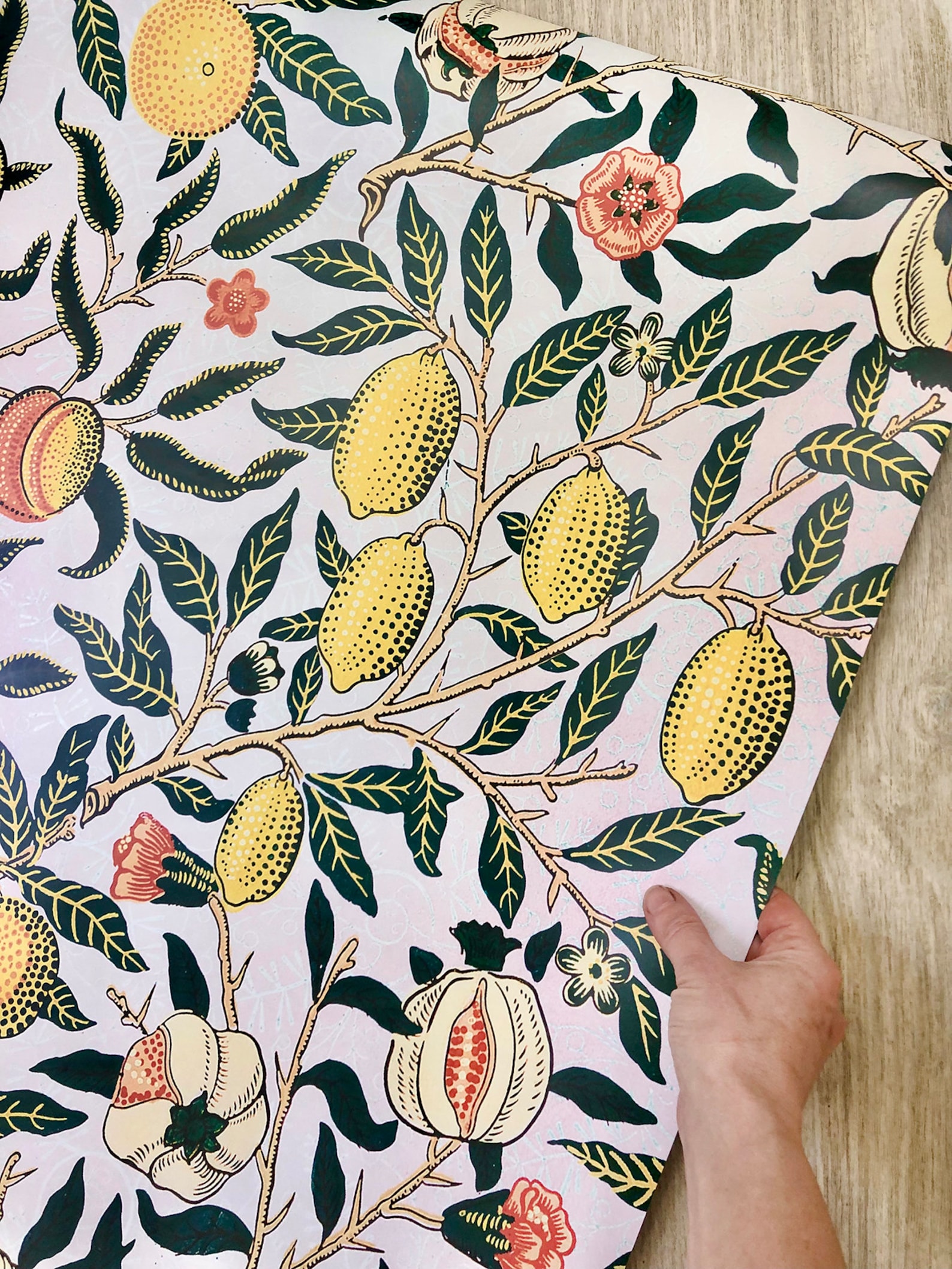 Dishwasher Cover Vintage Lemons Retro Kitchen Etsy