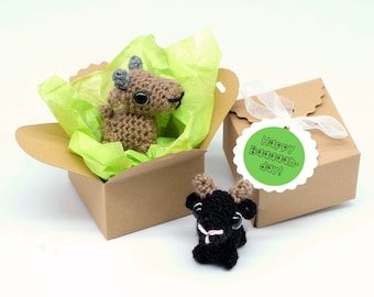 Chèvre cadeau d’anniversaire mignon jardin animal thème porte-clés boîte cadeau 'Joyeux Baaaaah-day!' Joyeux anniversaire amitié petite amie maman soeur nan cadeau