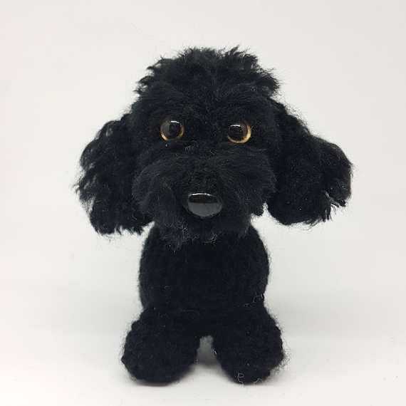 Poodle Toy /& Miniature 2020 Dog Calendar 15/% OFF MULTI ORDERS!