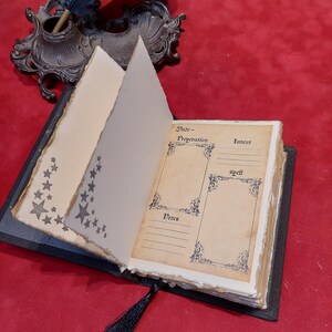 May include: An open, antique-style journal with aged paper pages. The pages feature star and floral designs, and handwritten text. A black tassel hangs from the spine. An ornate inkwell with a feather quill sits in the background.
