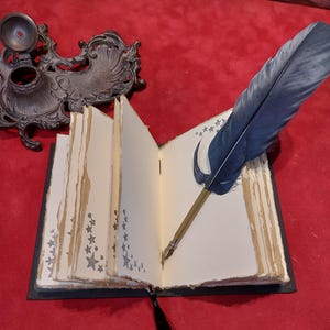 May include: An open journal with cream-colored pages and star designs, a blue feather quill pen, and a black tassel. An ornate inkwell sits in the background. The journal is on a red surface.