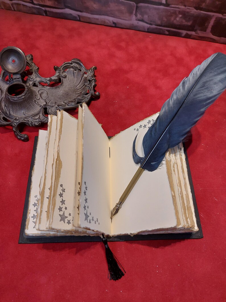 May include: An open journal with cream-colored pages and star designs, a blue feather quill pen, and a black tassel. An ornate inkwell sits in the background. The journal is on a red surface.