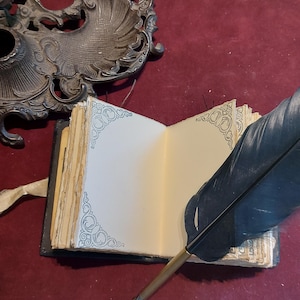 Puede incluir: Un diario abierto de estilo antiguo con p&aacute;ginas en blanco y bordes decorativos. Una pluma de pluma negra con una punta de oro descansa sobre las p&aacute;ginas abiertas.