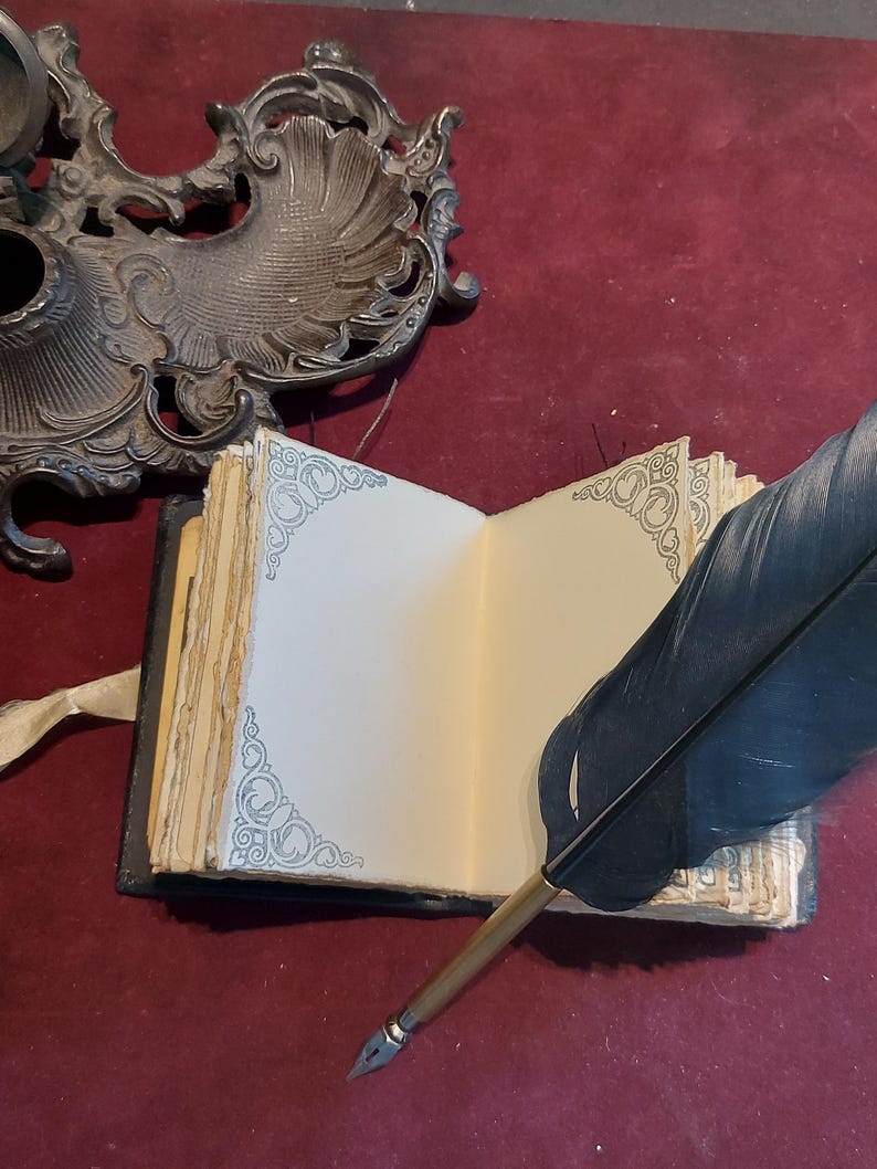 Puede incluir: Un diario abierto de estilo antiguo con p&aacute;ginas en blanco y bordes decorativos. Una pluma de pluma negra con una punta de oro descansa sobre las p&aacute;ginas abiertas.