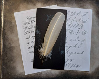 White Feather Dip Pen for Calligraphy | Fountain Pen For witchcraft or Spell book