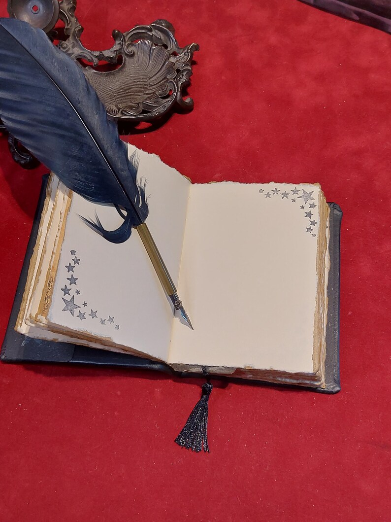 Puede incluir: Un diario abierto con dise&ntilde;os de estrellas, una borla negra y una pluma con una pluma azul oscuro. El diario est&aacute; sobre una superficie roja, con una pieza de metal decorativa en el fondo.