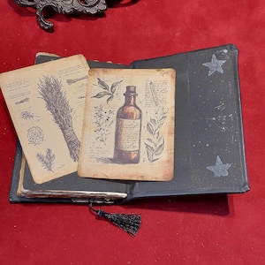 Puede incluir: Un libro azul oscuro abierto con dise&ntilde;os de estrellas y un marcap&aacute;ginas de borla negra. En el interior, ilustraciones bot&aacute;nicas de estilo vintage sobre papel envejecido, incluyendo una botella, hierbas y notas manuscritas. El libro descansa sobre una superficie roja.