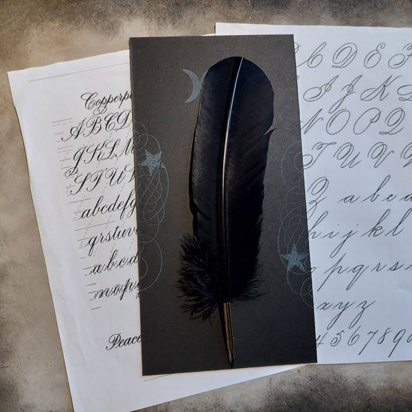 Black Feather Dip Pen for Calligraphy | Fountain Pen For witchcraft or Spell book