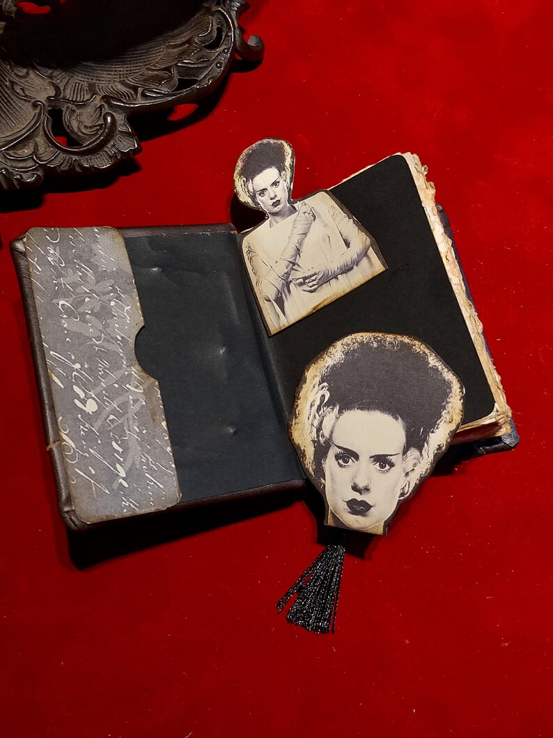 May include: An open, vintage-style book with black pages and a decorative cover. The book features two black and white images of the Bride of Frankenstein, one as a bookmark with a black tassel. The background is a deep red.