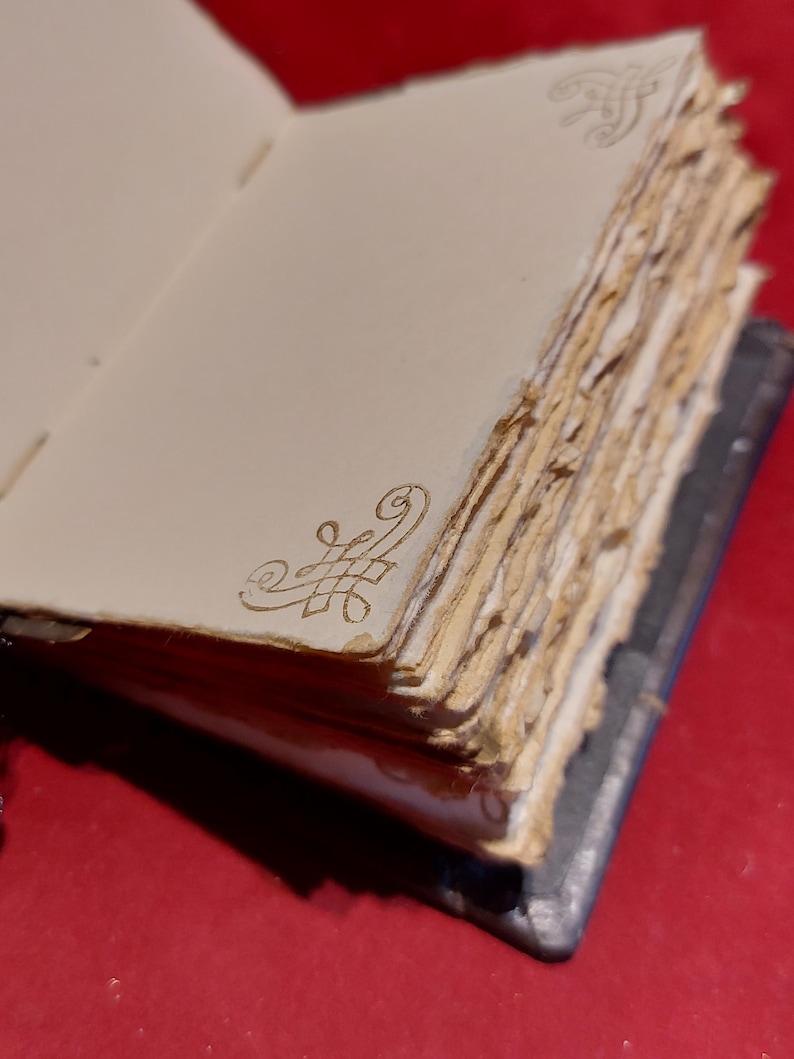 May include: Open journal with aged, textured pages. The pages are off-white with deckled edges. Gold filigree corner designs adorn the pages. The journal's spine is dark blue-grey. The background is a solid red.