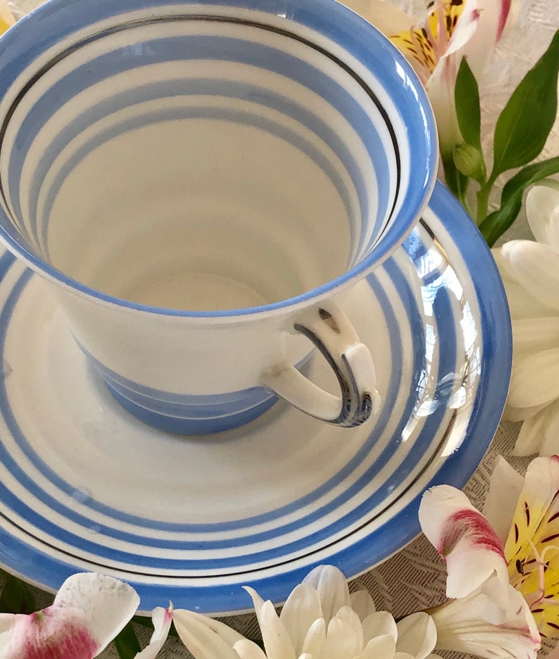 Blue and White Stripe Tea Cup and Saucer by Roslyn China Etsy