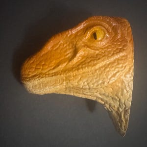 May include: A detailed, orange-toned dinosaur head sculpture with a textured surface and a focused, yellow eye. The sculpture is mounted on a dark background, showcasing the realistic details of the prehistoric creature.