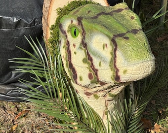 Large Raptor Head Wall Mount – Hand Sculpted & Painted Dino Bust on Wood Plaque | 18" Latex Foam Velociraptor Head Decor