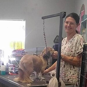 May include: A woman in a patterned shirt is grooming a small brown dog on a grooming table. The dog is standing on a table with a grooming arm attached to the ceiling. The woman is holding the dog's leash in her right hand and is using a grooming tool in her left hand.