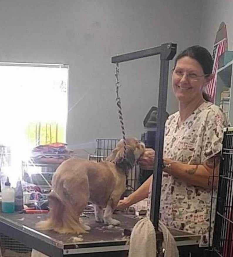 May include: A woman in a patterned shirt is grooming a small brown dog on a grooming table. The dog is standing on a table with a grooming arm attached to the ceiling. The woman is holding the dog's leash in her right hand and is using a grooming tool in her left hand.