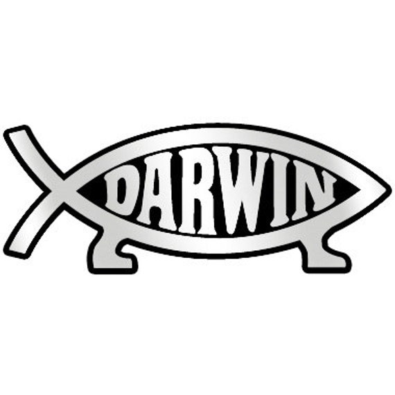 Buy Darwin Fish Plastic Auto Emblem silver5.25 X 2 EF-EMB-P-00023 Online in  India 