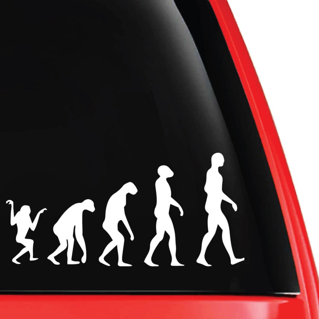 Evolution Line Weatherproof Vinyl Decal EF-VDC-00049A - Etsy
