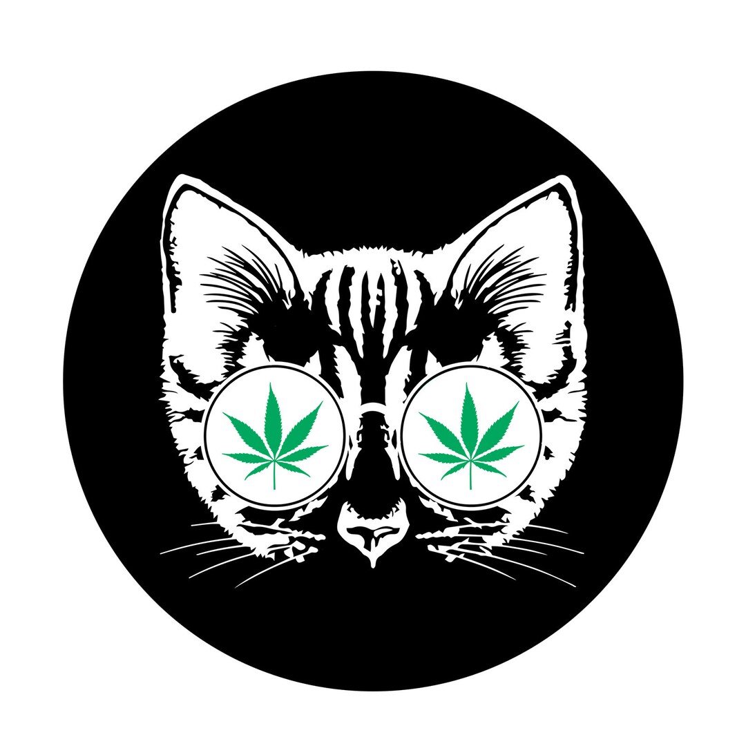EvolveFISH Cannabis Cat Bumper Sticker - 5" Diameter, Premium Vinyl, Waterproof, Made In USA