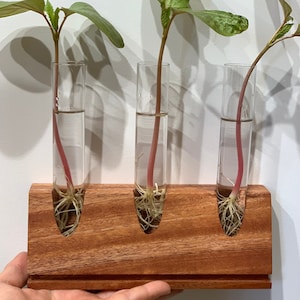 N&P Propagation Station - Boho decor modern Design - Handmade Wood Test Tube Holder Propagating Plant Cuttings in Water - unique gift idea