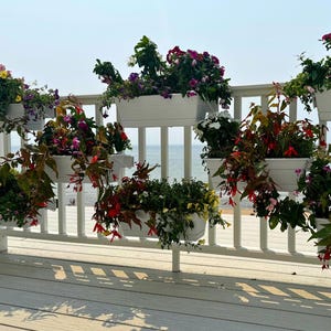 May include: White railing with several white rectangular planters filled with colorful flowers. The flowers include red, purple, pink, and white blooms. The background shows a body of water and a clear sky.