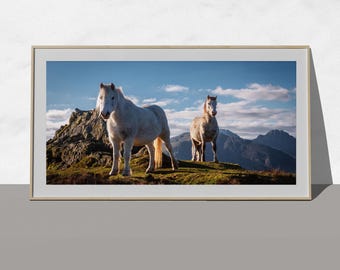 Snowdonia