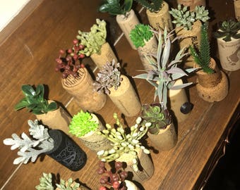 Set of Succulent Cork Magnets